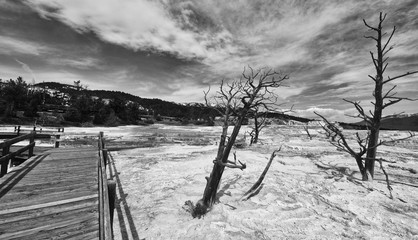 Yellowstone National Park