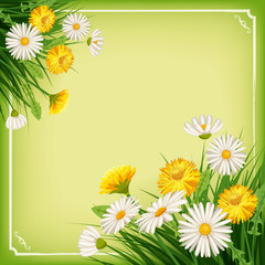 Fototapeta na wymiar Fresh spring background with grass, dandelions and daisies. Vector