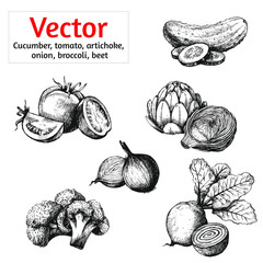 Vector set vegetables
