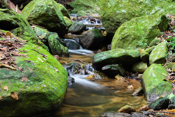 Small stream in the Atlantic forest in the middle of Rio de Janeiro, Brazil (TIJUCA FOREST)