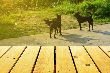 Blur Old Wooden table with blue sky white cloud background. with black dog