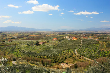 Fototapeta na wymiar Vineyards and olive groves in Tuscany, Italy