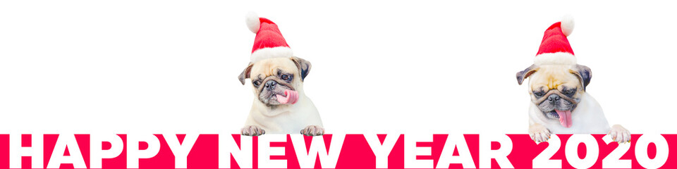 Two Cartoon Little Pug Dog in a red christmas hat with number 2020. Cute cartoon christmas animal dog. Christmas and New Year Banner. (Happy New Year 2020 Concept).