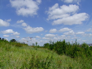 green field and blue sky