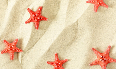 Summer concept. Starfish on sea sand. Texture light sand. Concept beach holiday. Flat lay, top view, copy space
