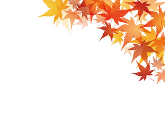 Fototapeta premium 紅葉 赤 秋 フレーム