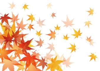 Obraz premium 紅葉 赤 落ち葉 秋 背景