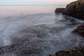 Waves Crashing Over Kelp on Maine Coast