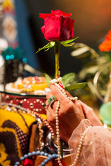Naklejka premium Cropped Hand holding Rose in front of Jewellery
