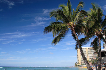 Fototapeta na wymiar 綺麗なハワイの風景