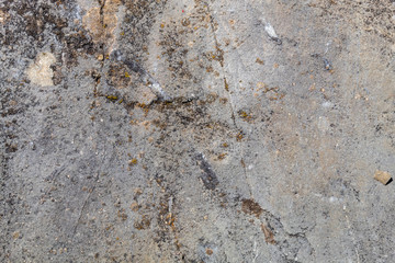 Grayish Old Weathered Natural Stone Texture