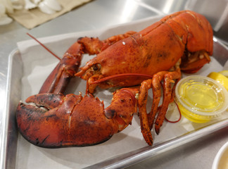 A delicious and ripe lobster