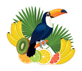 Obraz na płótnie Canvas Toucan bird and fruits. Vector illustration.