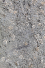 Grayish Old Weathered Natural Stone Texture