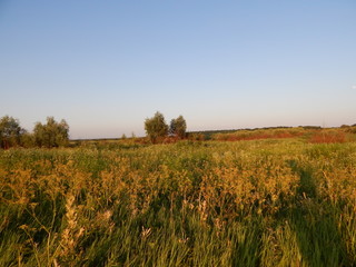 Ukrainian steppe at the end of the day. Summer evening