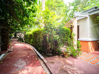 Footpath at the front of house with garden