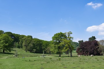 Picturesque view along the pathway to Stannage Edge, Derbyshire 