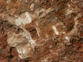 Typical detail of an ancient wall of an Italian house in Rimini, on the Adriatic coast, made of hand-carved stones.