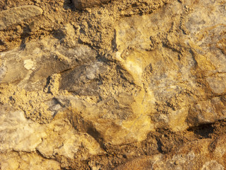 Typical detail of an ancient wall of an Italian house in Rimini, on the Adriatic coast, made of hand-carved stones.