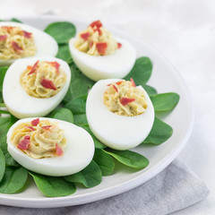 Deviled eggs stuffed with avocado, egg yolk and mayonnaise filling, garnished with bacon on spinach leaves, square format