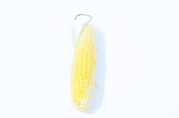 Close-up corn on white background,photo