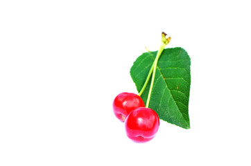 Red cherrieswith green leaves isolated on white background, fruit pattern,photo