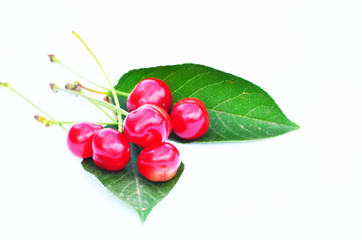 Red cherries with green leaves isolated on white background, fruit pattern,photo