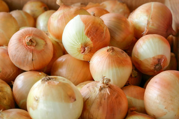 Many onions gather together to wait for people to buy.