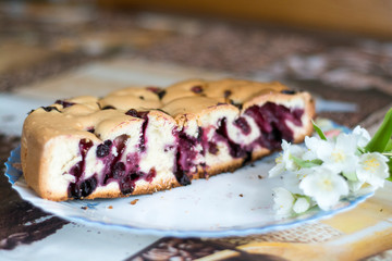 still life tasty food half of cake with berries on the white-blue plate with jasmine flowers