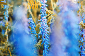 Perfect flat and mirror like water reflection o a lake with colorful sunset clouds. Germany, Braunschweig
