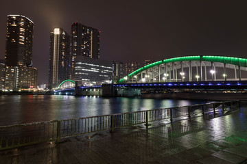 Fototapeta na wymiar Bridge in Rainy Tokyo during the night time, Japan, Tokyo