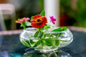 Obraz na płótnie Canvas Florist - Florista : flower decorate in glass jar