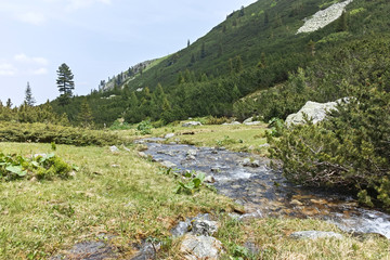 Fototapeta na wymiar Landscape near Malyovitsa peak and Malyoviska river, Rila Mountain, Bulgaria