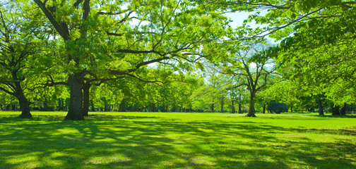 Green park