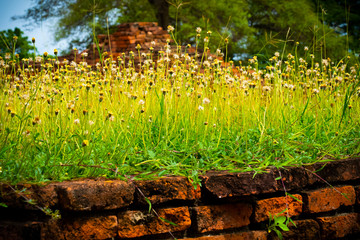 Si Sanphet Temple at Ayuthaya, Thailand