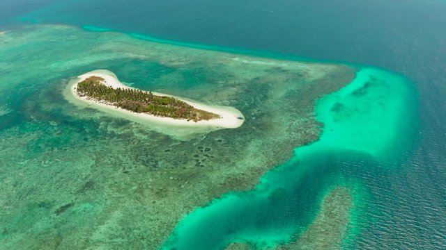 Small tropical island in the blue sea with a coral reef and the beach, top view. Summer and travel vacation concept. Canimeran Island, Balabac, Palawan, Philippines.