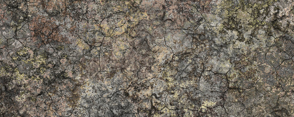 Abandoned crack house wall texture background