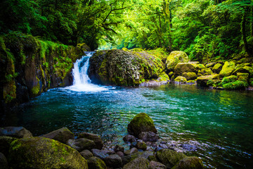 Fototapeta premium Kikuchi valley, waterfall and ray in forest, Japan
