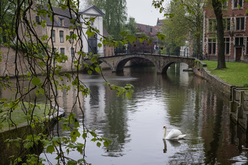 Naklejka premium Cozy streets and beautiful architecture of Rainy Brugge, Belgium