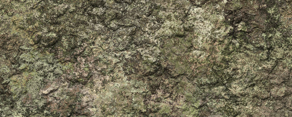 Mossy stone texture background