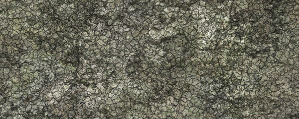 Land damaged due to global warming and climate change