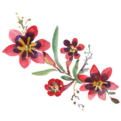 Bouquet floral botanical flowers. Watercolor background illustration set. Isolated bouquets illustration element.