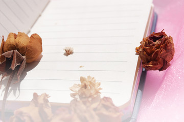 notebook.  dried flowers. school. a diary. stationery