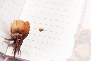 notebook.  dried flowers. school. a diary. stationery