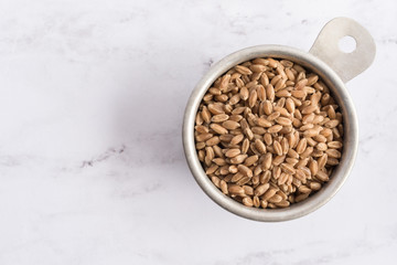 Whole Grain Milling Wheat in a Measuring Cup