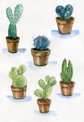 Set of cactuses in a pots. Watercolour and pen hand drawn on white background. 