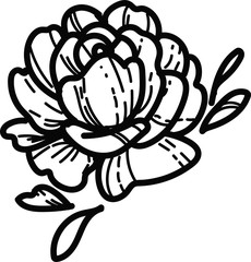 Line art and sketch black illustration on the white isolated background.