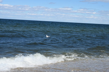 long island beach and waves 