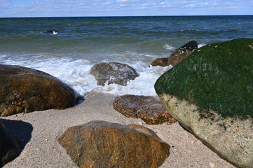 Rocks at the Beach