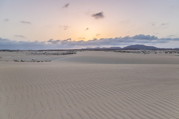 Fototapeta na wymiar sand, dunes and volcanic mountains at sunset landscape at the natural park of Corralejo, Fuerteventura, Canary islands, Spain.